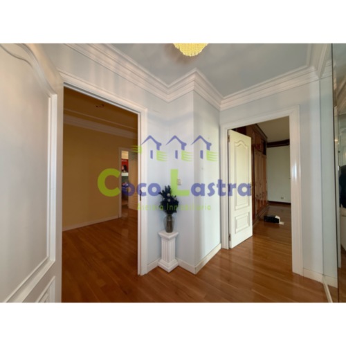 Distribuidor 